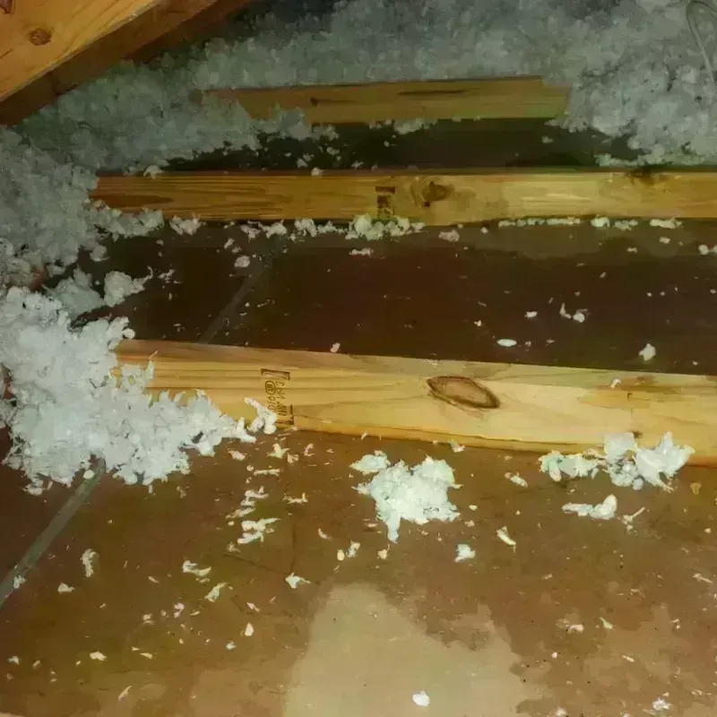 Attic Water Damage in Muscoy, CA