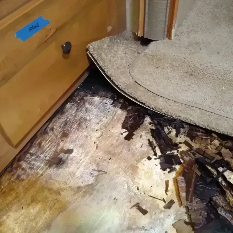 Wood Floor Water Damage in Muscoy, CA